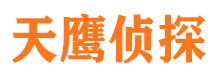 振兴侦探公司